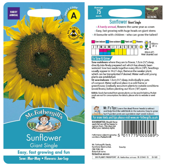 000589-paeevalill-giant-single