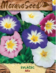 006895-kassitapp