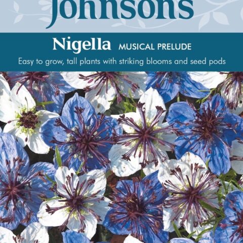 007240-Naesa-mustkoeoemen-Love-in-a-Mist-Musical-Prelude