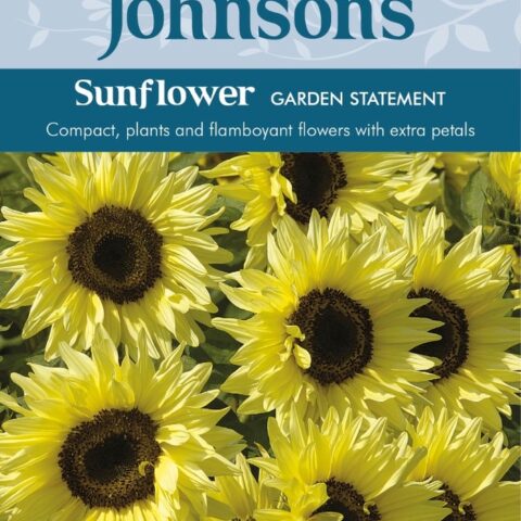 008445-Sunflower-Garden-Statement