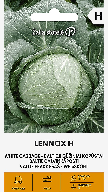 112681