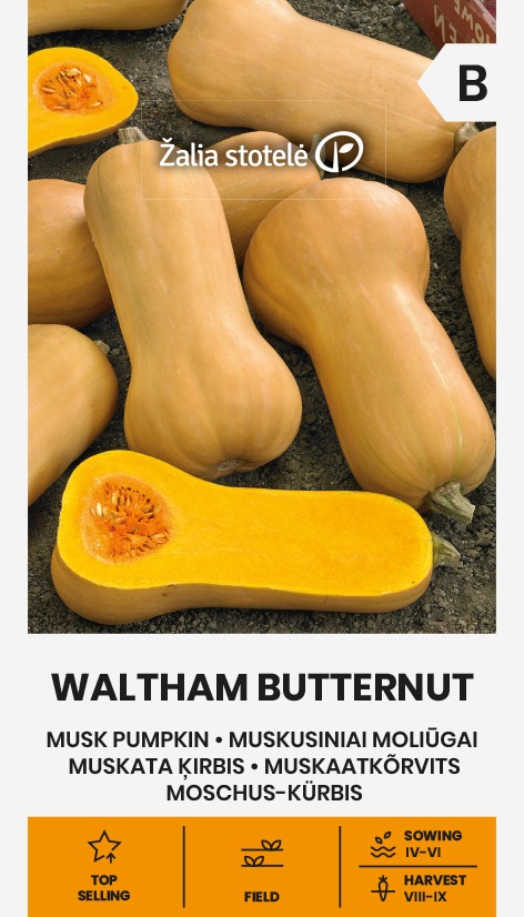 121065