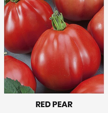 131477