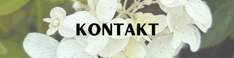 logo piklik (5)