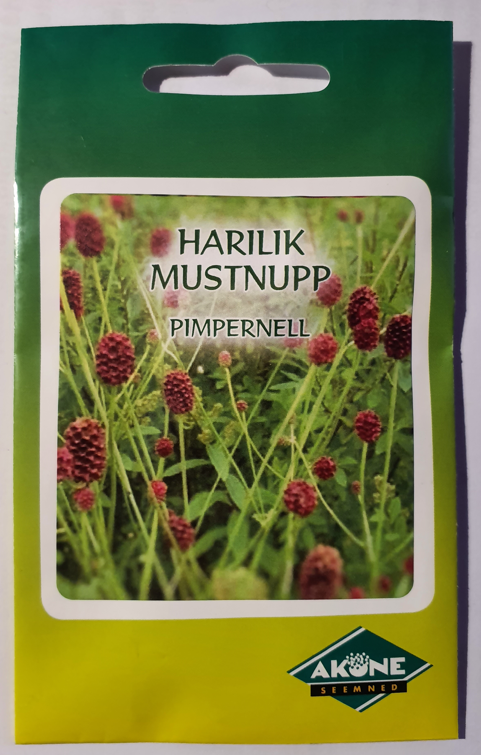 harilik-mustnupp