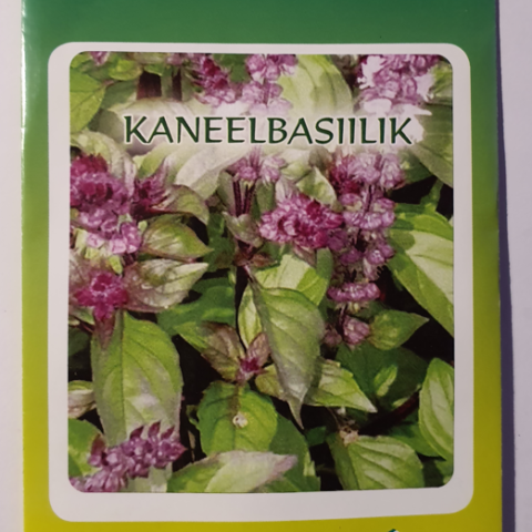 kaneelbasiilik
