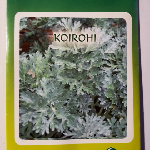 koirohi