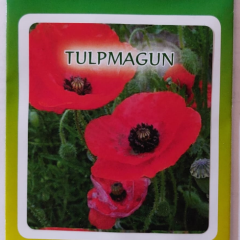 tulpmagun