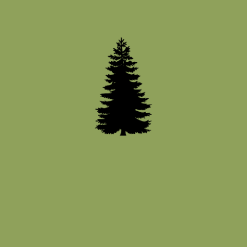 Okaspuud