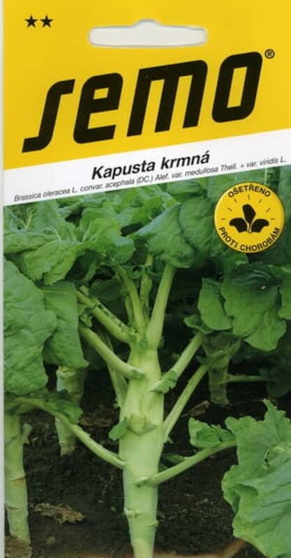 soeoedakapsas-inka