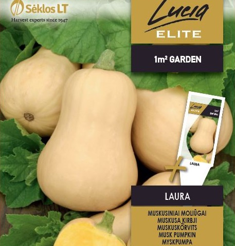 Muskaatkõrvits 'LAURA' 1g