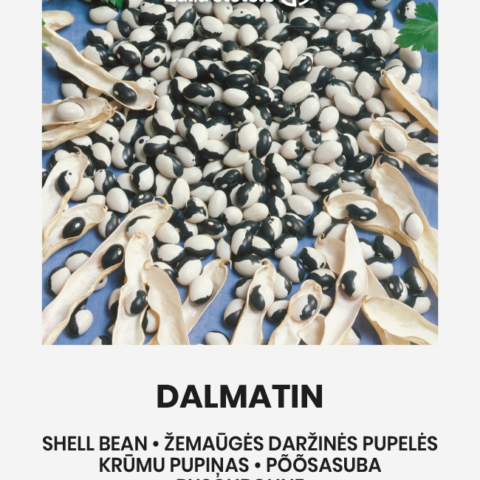 Aeduba / Põõsasuba 'DALMATIN' 10g