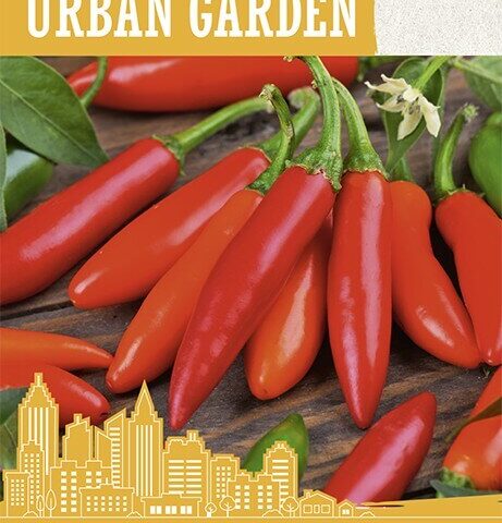 Terav paprika 'BIRDS EYE' 0,1g Urban Garden