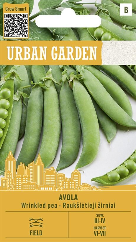 Aedhernes 'AVOLA' 8g Urban Garden