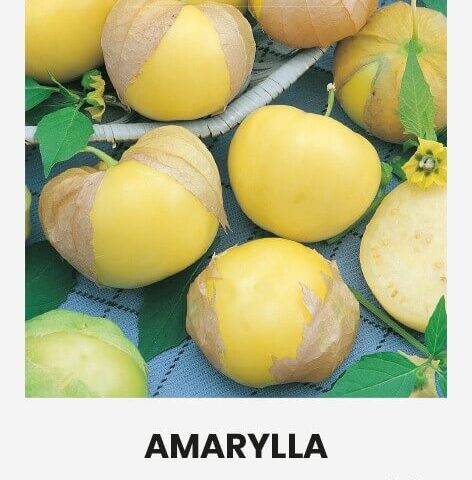 Mehhiko füüsal /Tomatillo 'AMARYLLA ®'  0,2g