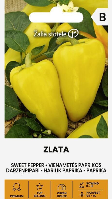 Magus paprika 'ZLATA'
