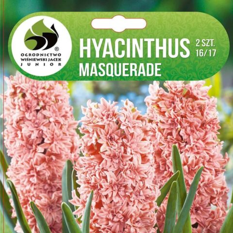 Hüatsint 'MASQUERADE' 2tk 16/17