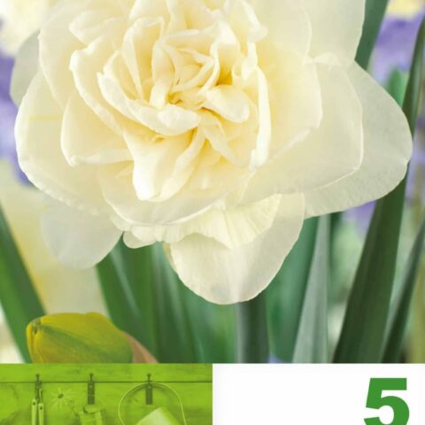 Nartsiss 'OBDAM' 5tk 10/12