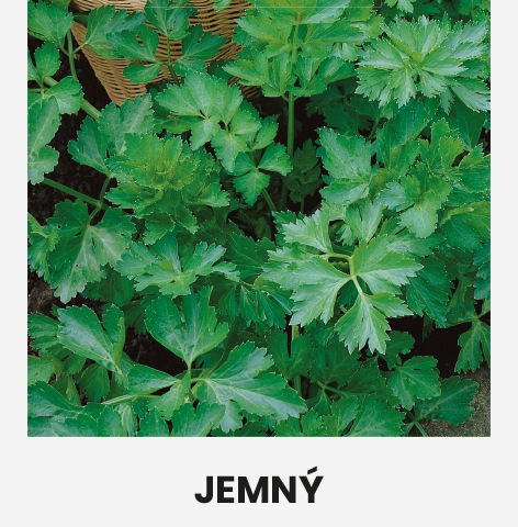 Lehtseller ' JEMNÝ' 0,2g