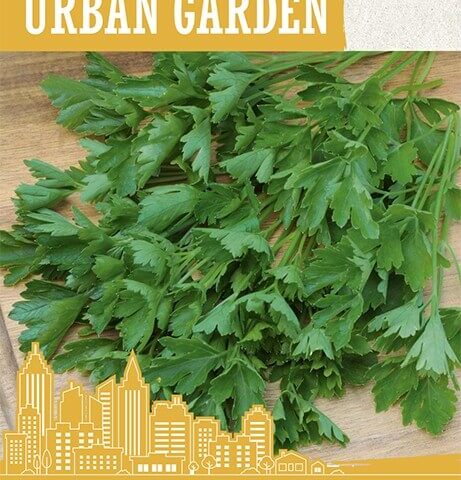Aedpetersell 'FEST' 2g Urban Garden