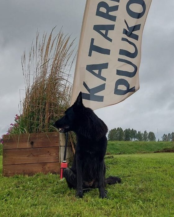 Must saksa lambakoer istub Katariina Puukooli lipu all